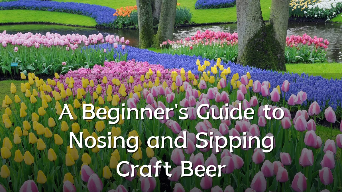 A Beginner's Guide to Nosing and Sipping Craft Beer