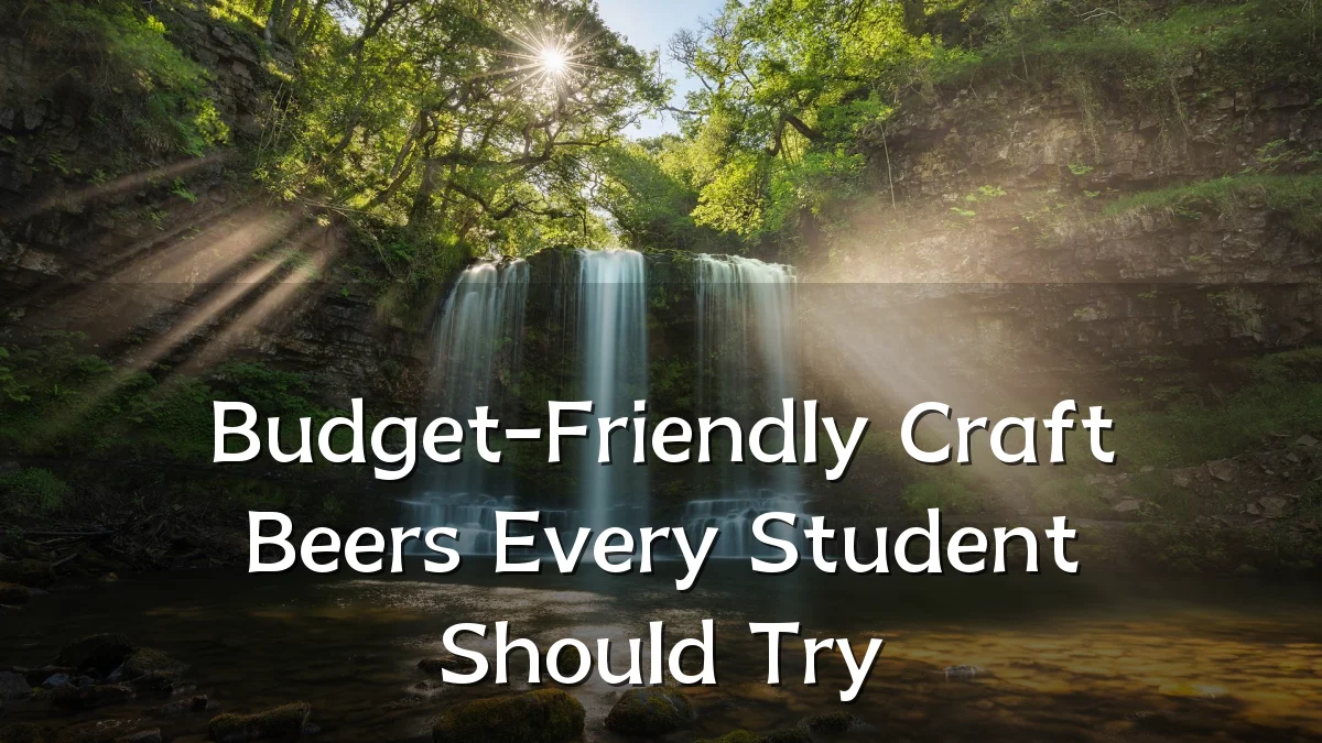 Budget-Friendly Craft Beers Every Student Should Try
