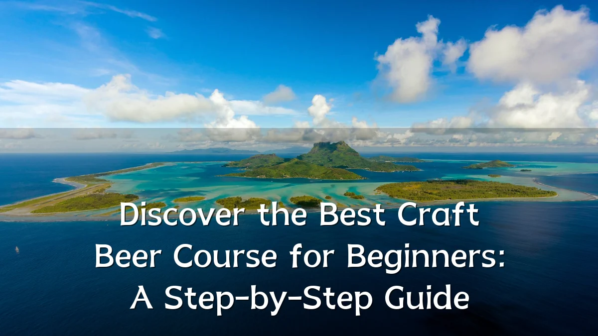 Discover the Best Craft Beer Course for Beginners: A Step-by-Step Guide