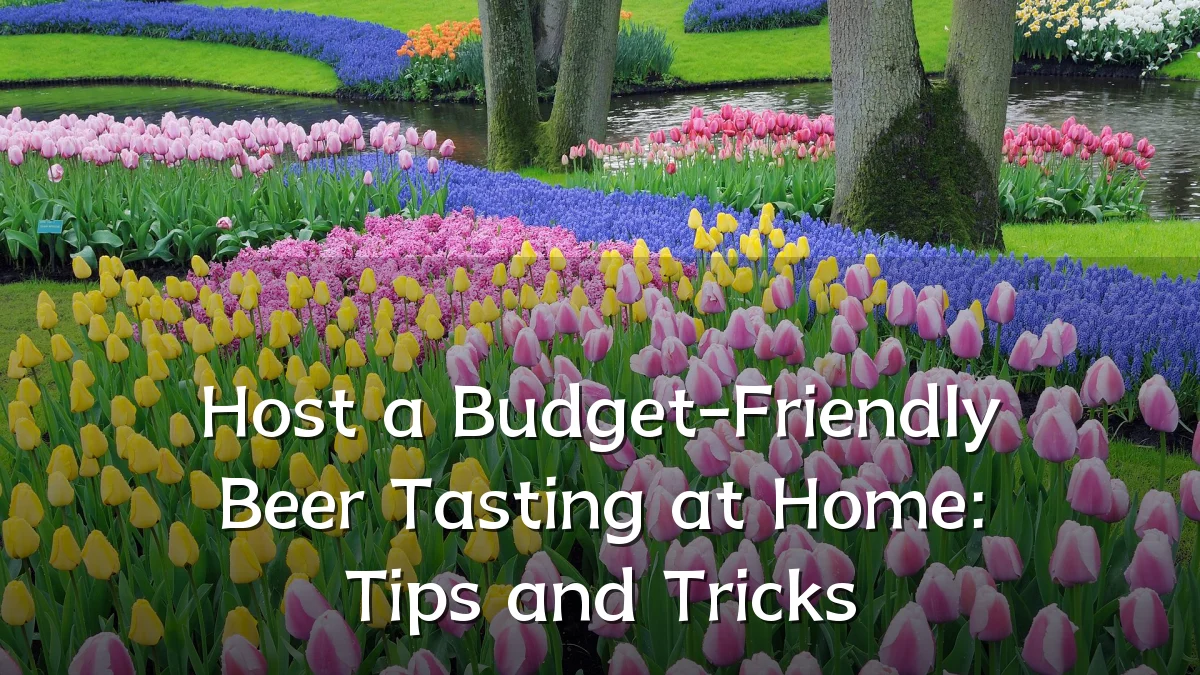 Host a Budget-Friendly Beer Tasting at Home: Tips and Tricks