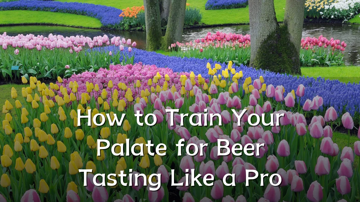 How to Train Your Palate for Beer Tasting Like a Pro