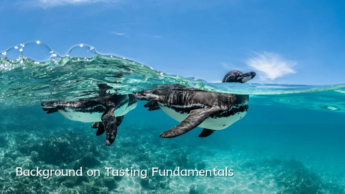 Background on Tasting Fundamentals