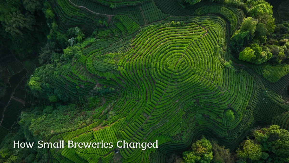 How Small Breweries Changed