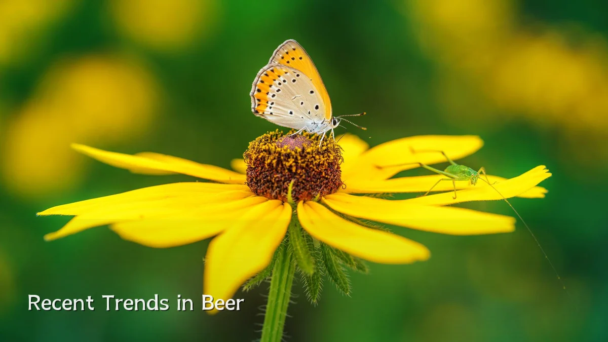 Recent Trends in Beer