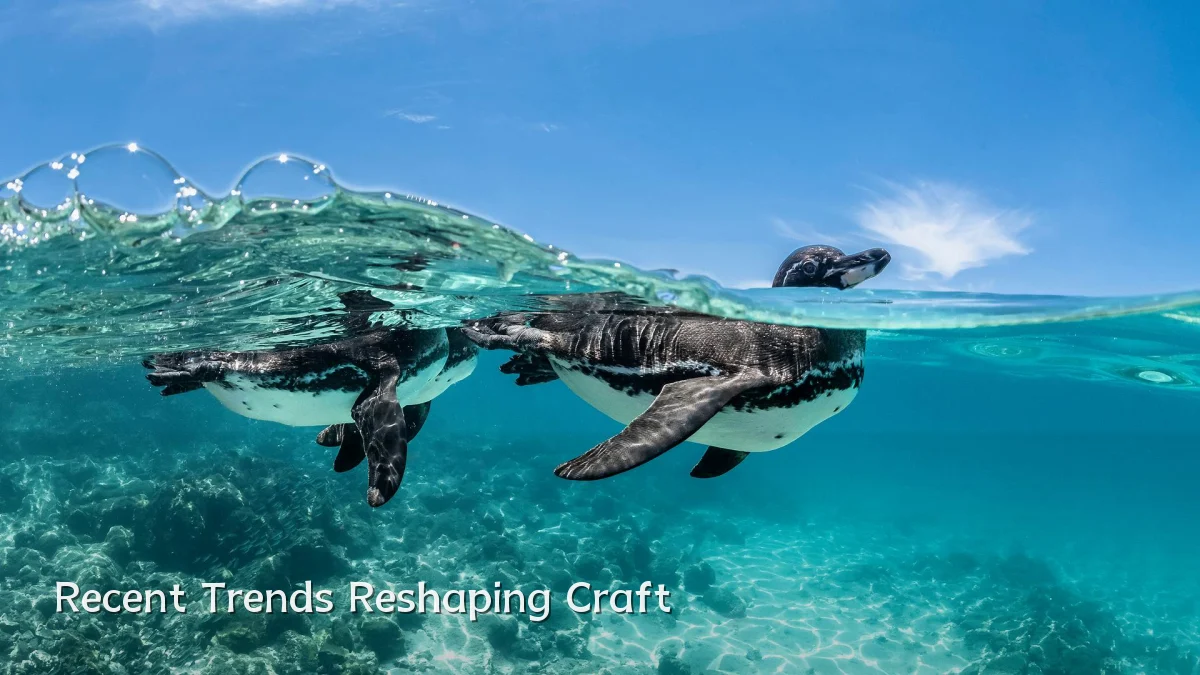 Recent Trends Reshaping Craft