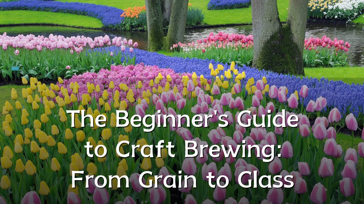 The Beginner's Guide to Craft Brewing: From Grain to Glass