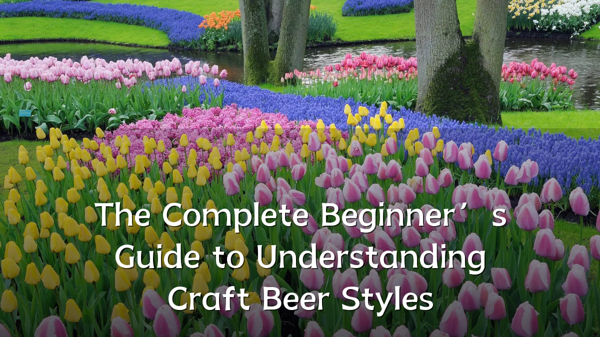 The Complete Beginner’s Guide to Understanding Craft Beer Styles