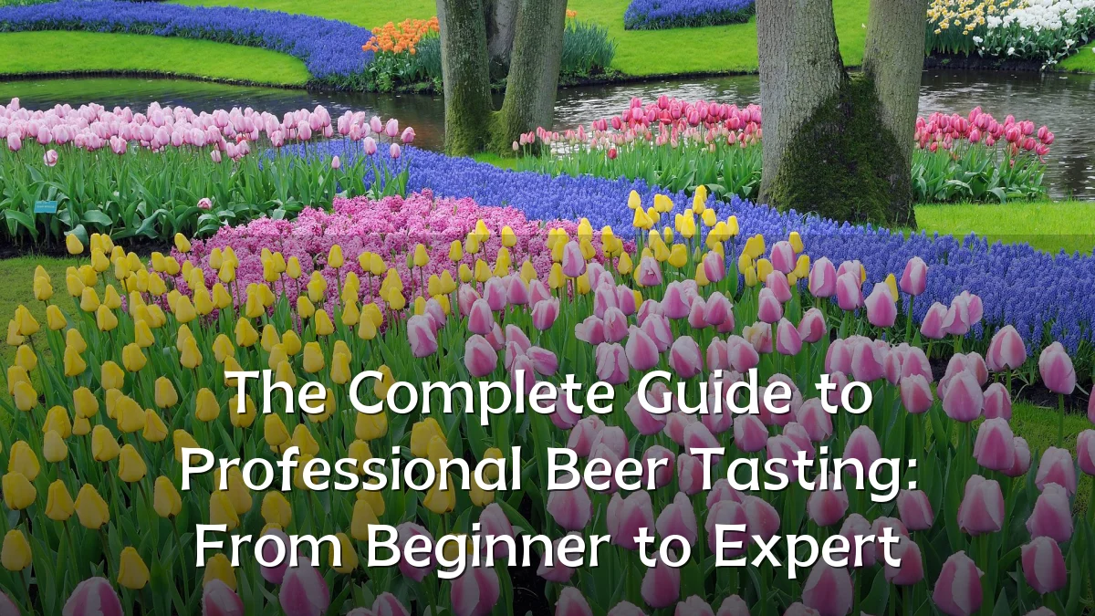 The Complete Guide to Professional Beer Tasting: From Beginner to Expert