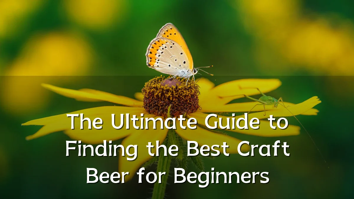 The Ultimate Guide to Finding the Best Craft Beer for Beginners