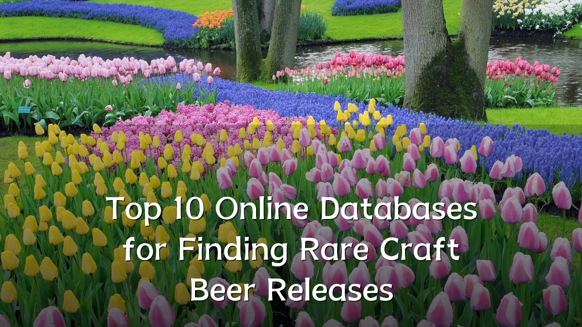 Top 10 Online Databases for Finding Rare Craft Beer Releases