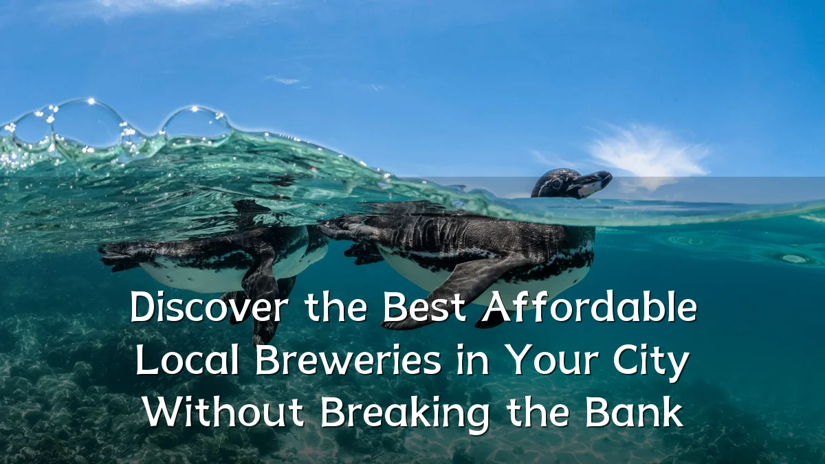Discover the Best Affordable Local Breweries in Your City Without Breaking the Bank