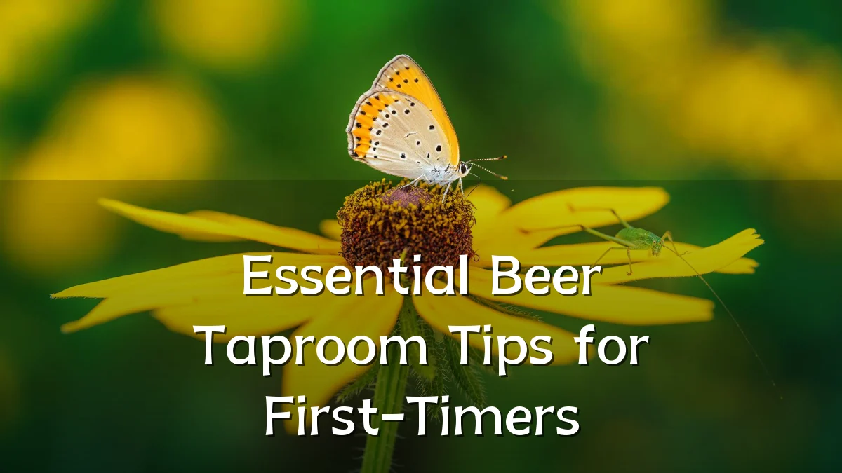 Essential Beer Taproom Tips for First-Timers