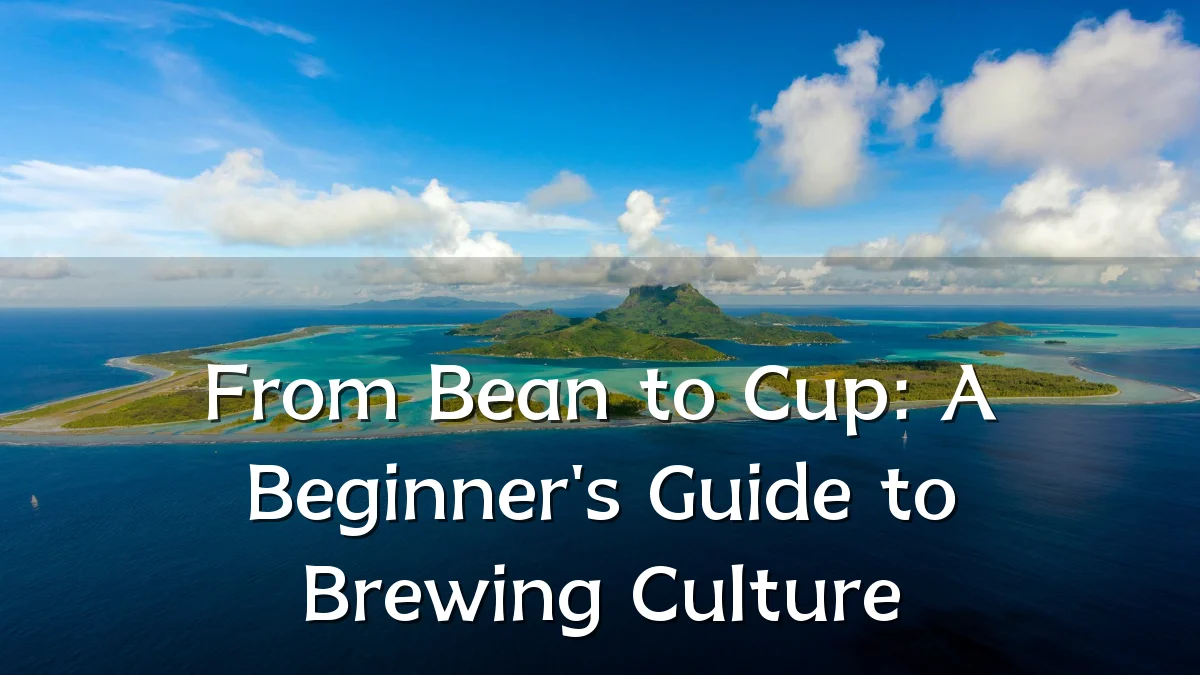 From Bean to Cup: A Beginner's Guide to Brewing Culture
