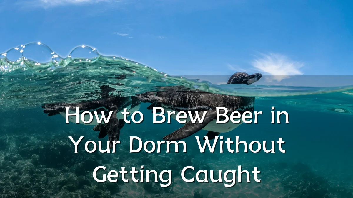 How to Brew Beer in Your Dorm Without Getting Caught