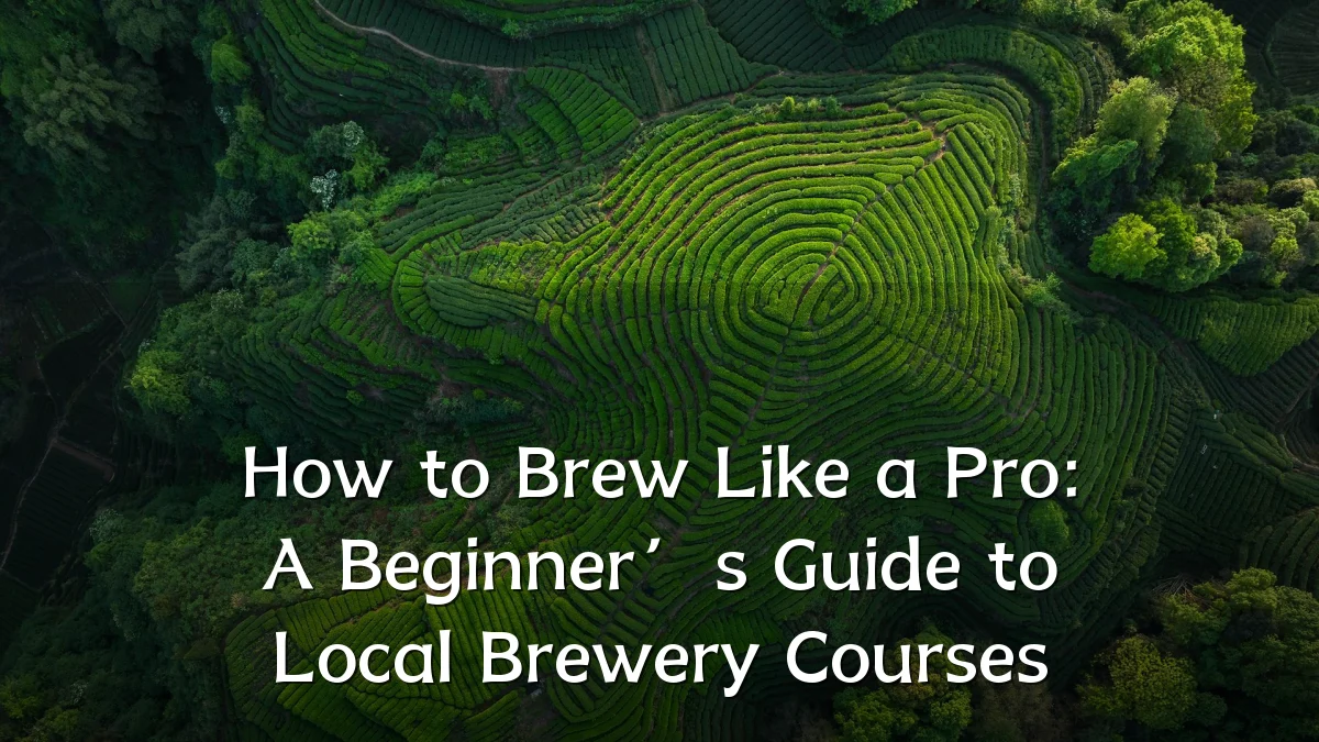 How to Brew Like a Pro: A Beginner’s Guide to Local Brewery Courses