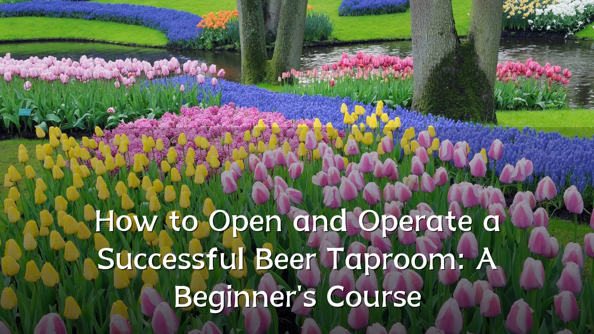 How to Open and Operate a Successful Beer Taproom: A Beginner's Course