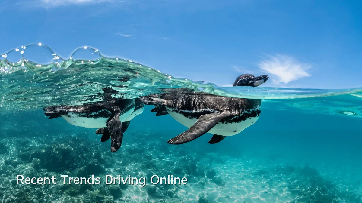 Recent Trends Driving Online