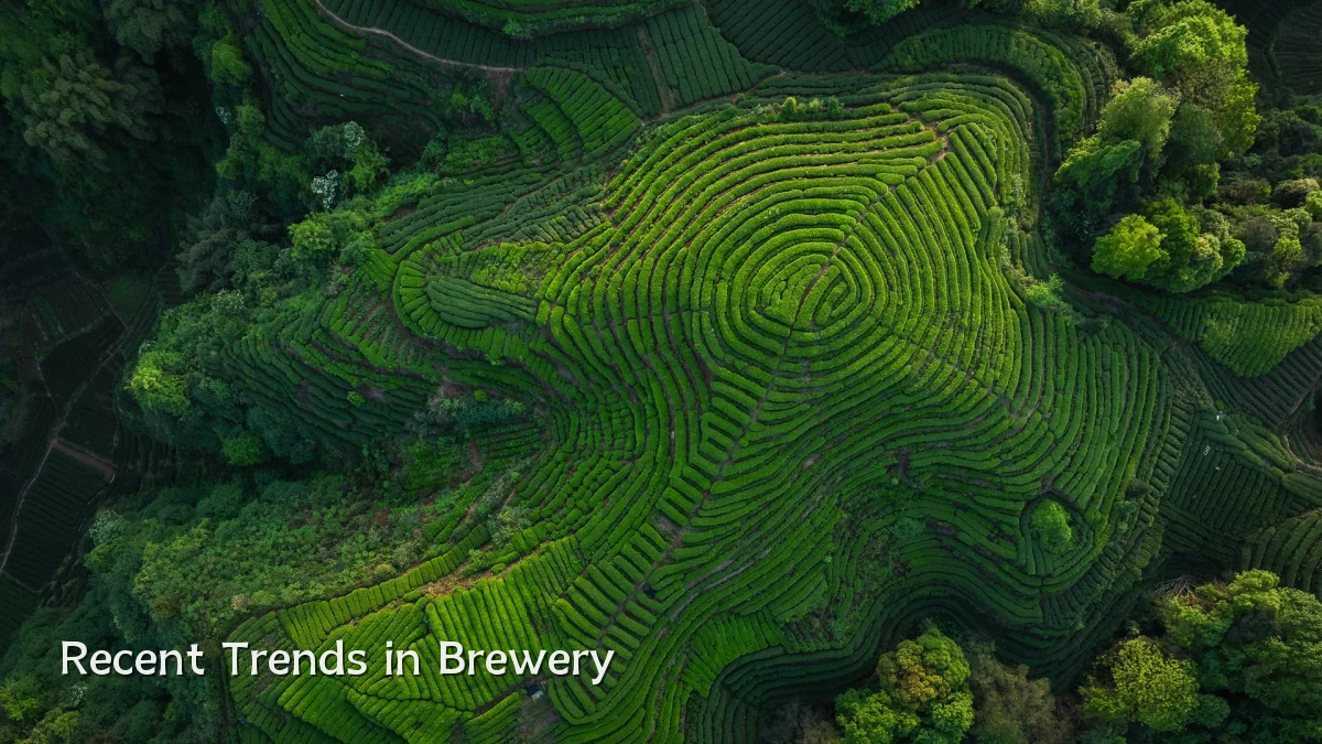 Recent Trends in Brewery
