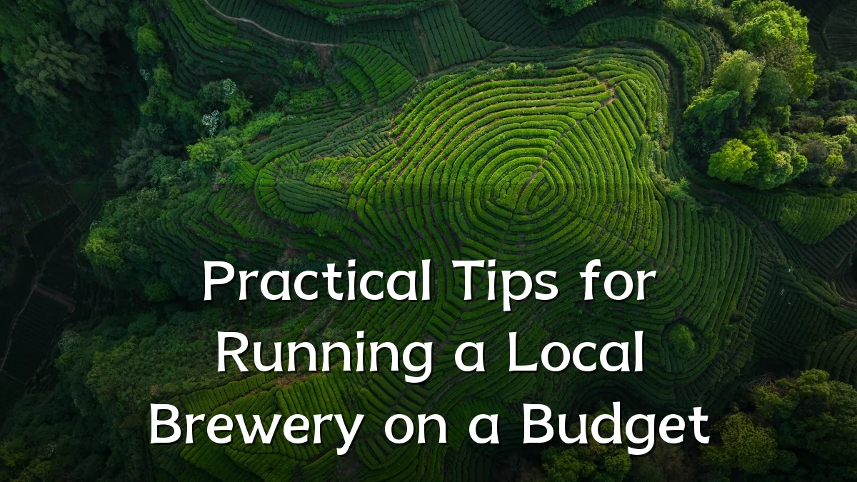 Practical Tips for Running a Local Brewery on a Budget
